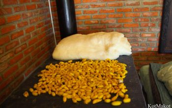 Шелковая фабрика в Хойане