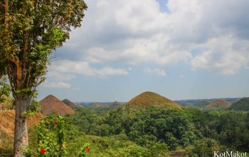 Шоколадные холмы, Бохоль