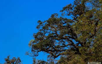 Сапа, Вьетнам