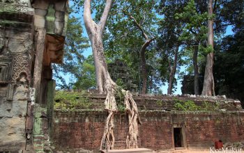 Ангкор Ват, Камбоджа 2014 год