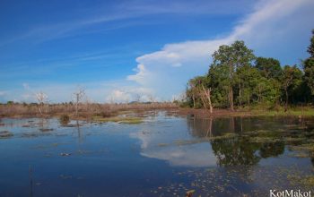 Ангкор Ват, Камбоджа 2014 год