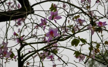 Ханой, Вьетнам