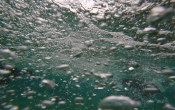 Подводный мир Панглао, Филиппины