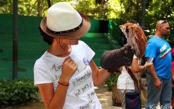 Зоопарк в Паттайе, Таиланд, 2014 год