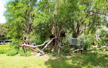 Зоопарк в Паттайе, Таиланд, 2014 год