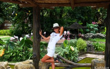 Зоопарк в Паттайе, Таиланд, 2014 год