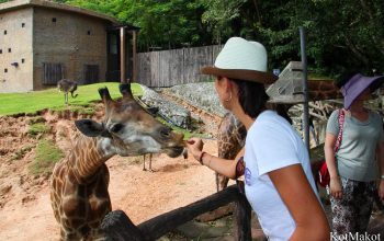 Зоопарк в Паттайе, Таиланд, 2014 год
