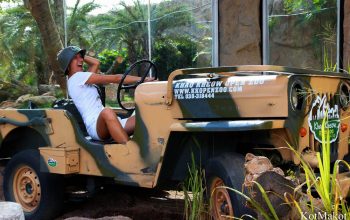 Зоопарк в Паттайе, Таиланд, 2014 год