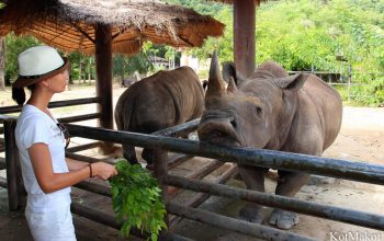 Зоопарк в Паттайе, Таиланд, 2014 год