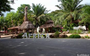 Зоопарк в Паттайе, Таиланд, 2014 год