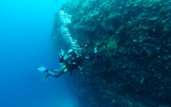 Дайвинг на Филиппинах, Панглао