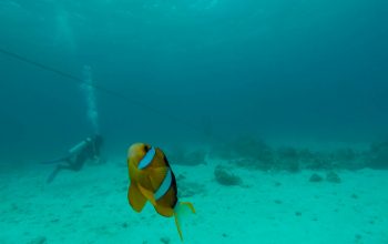 Дайвинг на Филиппинах, Панглао