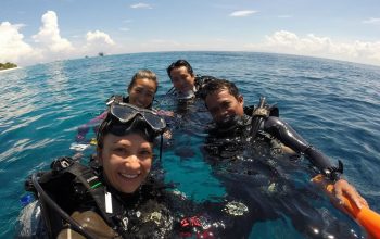 Дайвинг на острове Баликасак, Филиппины