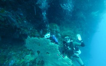 Дайвинг на острове Баликасак, Филиппины