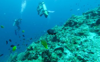 Дайвинг на острове Баликасак, Филиппины