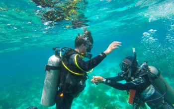 Diving Panglao PADI