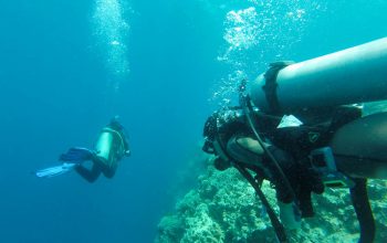 Diving Panglao PADI