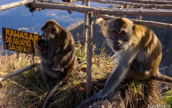 Вулкан Батур, Бали 2015 год