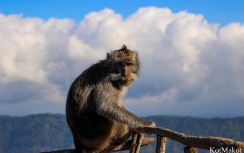 Вулкан Батур, Бали 2015 год