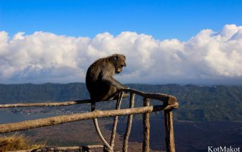Вулкан Батур, Бали 2015 год