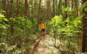 Вулкан Батур, Бали 2015 год