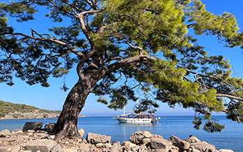 Какая погода в ноябре 2021 года в Анталии, Турция